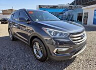 𝐇𝐲𝐮𝐧𝐝𝐚𝐢 𝐒𝐚𝐧𝐭𝐚 𝐅𝐞 𝐒𝐩𝐨𝐫𝐭 2017 | Rosas Autiomotriz