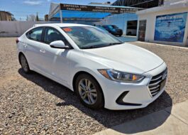 𝐇𝐲𝐮𝐧𝐝𝐚𝐢 𝐄𝐥𝐚𝐧𝐭𝐫𝐚 𝐒𝐄𝐋 2017 | Rosas Automotriz