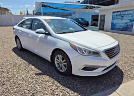 𝐇𝐲𝐮𝐧𝐝𝐚𝐢 𝐒𝐨𝐧𝐚𝐭𝐚 𝐒𝐄 2015 | Rosas Automotriz